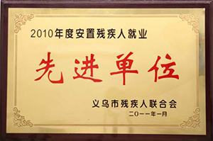 2010年度安置残疾人就业先进单位