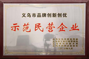 示范民营企业