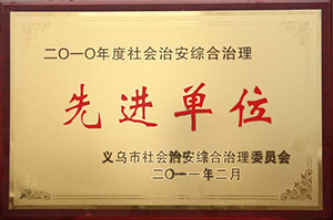 社会治安综合治理先进单位